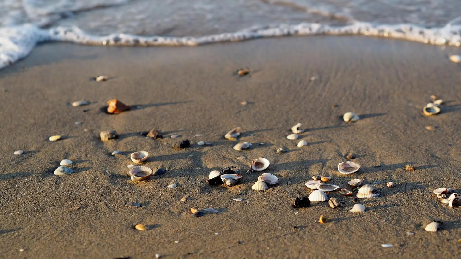 Apartment Stay Near The Beach And Thermal Area Bibione